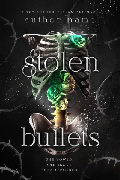 Stolen Bullets